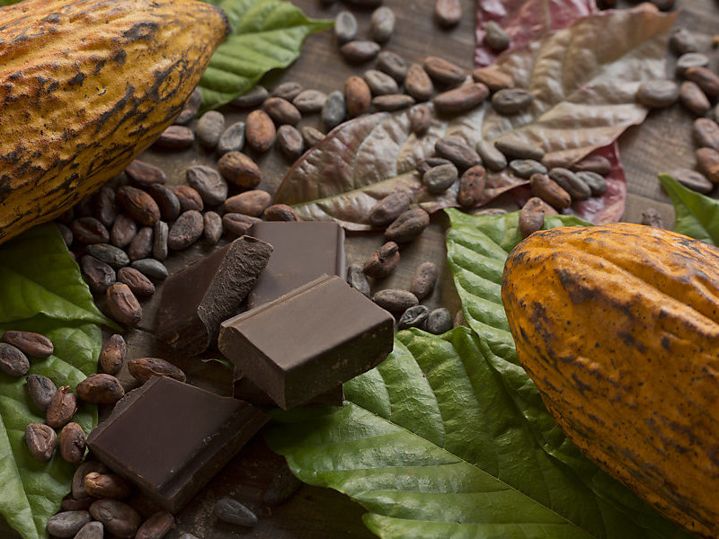 kursus coklat chocolatier online