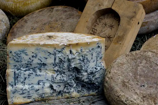 Keju Blue Cheese Gorgonzola